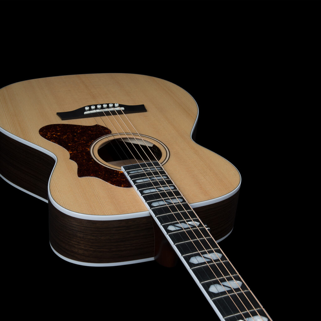 Guitares Godin - Guitare acoustique/électrique Fairmount CH LTD palissandre HG EQ avec étui rigide