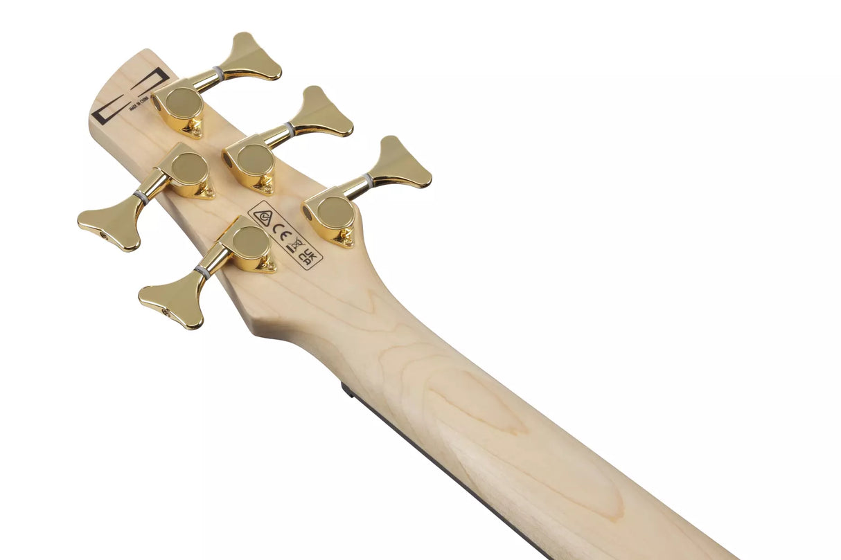 Ibanez - Basse électrique 5 cordes Gio SR - Transparent Marine Burst