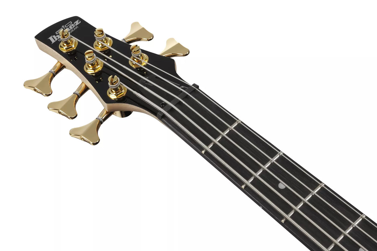 Ibanez - Basse électrique 5 cordes Gio SR - Transparent Marine Burst