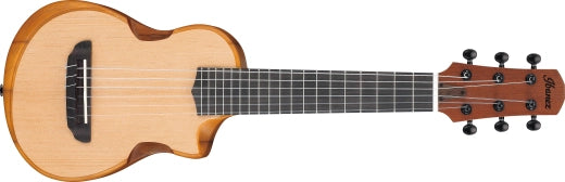 Ibanez - AUP10N Spruce/Paulownia Compact Acoustic Guitar with Gigbag - Open Pore Natural