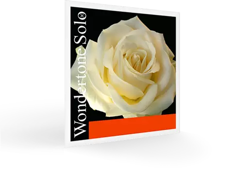 Pirastro - Wondertone Violin E String Loop End