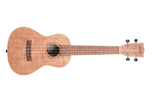 Kala - KA-20C Burled Meranti Concert Ukulele