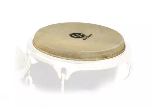 Latin Percussion - Rawhide Large Mounted Bongo Head 8-5/8