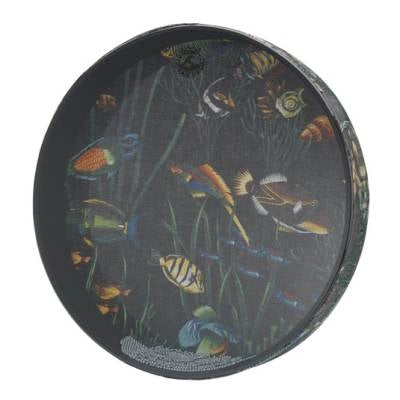 Remo - Ocean Drum - 2.5 X 16 Inch, Fish Graphic