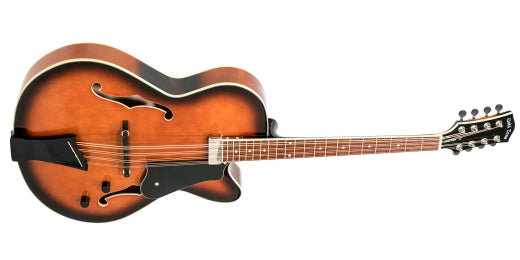 Mandocello 8 cordes Gold Tone avec micro et étui rigide