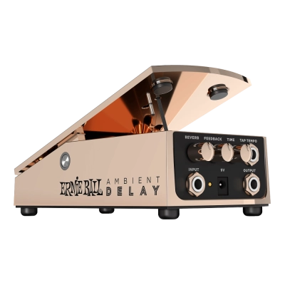 Ernie Ball - Ambient Delay