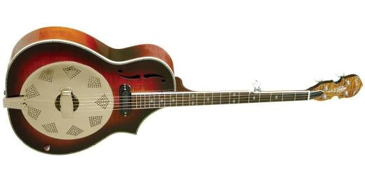 Gold Tone - Banjo résonateur de luxe avec micro et housse