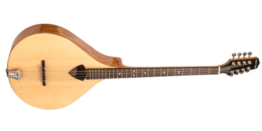 Bouzouki irlandais doré BZ-500 avec étui