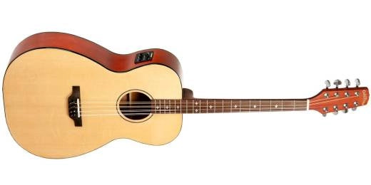 Bouzouki mandoline à corps de guitare Gold Tone BZ-1000 avec étui