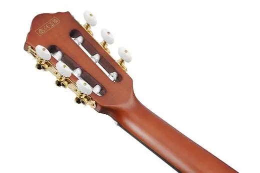 Ibanez - FRH10N Nylon String Acoustic/Electric Guitar - Natural Flat