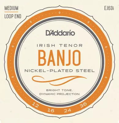 DAddario - EJ63i - Irish Tenor Banjo Strings Nickel 9-30