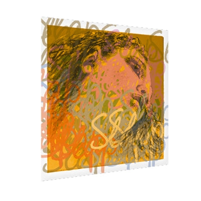 Pirastro - Cordes Evah Pirazzi Gut/Synthetic Mittel Slap Contrebasse - Jeu