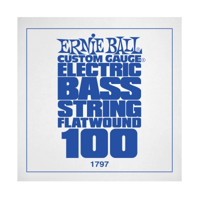 Ernie Ball - Corde simple pour basse électrique à fil plat .100