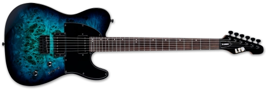 ESP Guitars - Guitare électrique LTD TE-200DX - Blue Burst