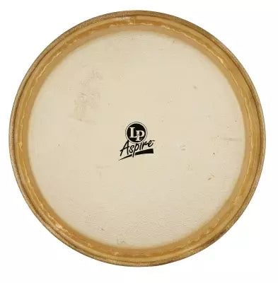 Latin Percussion - Conga Replacement Head - 11