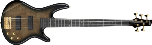 Ibanez - Basse électrique 5 cordes Gio SR - Transparent Pale Black Burst