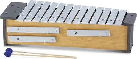 Children & Educational Percussion