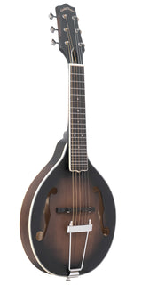 Mandoline-guitare A-6 d'occasion, type A, avec micro et housse.