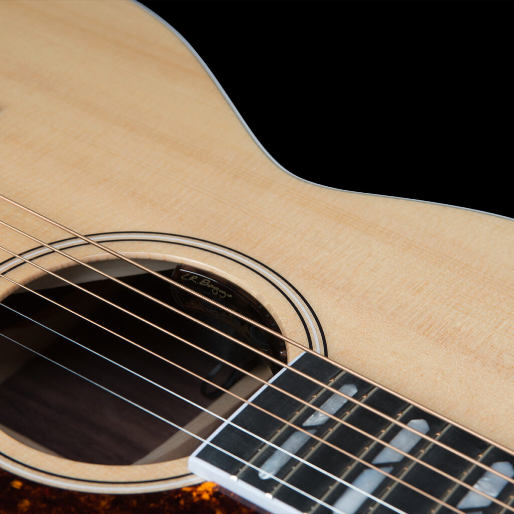 Guitares Godin - Guitare acoustique/électrique Fairmount CH LTD palissandre HG EQ avec étui rigide
