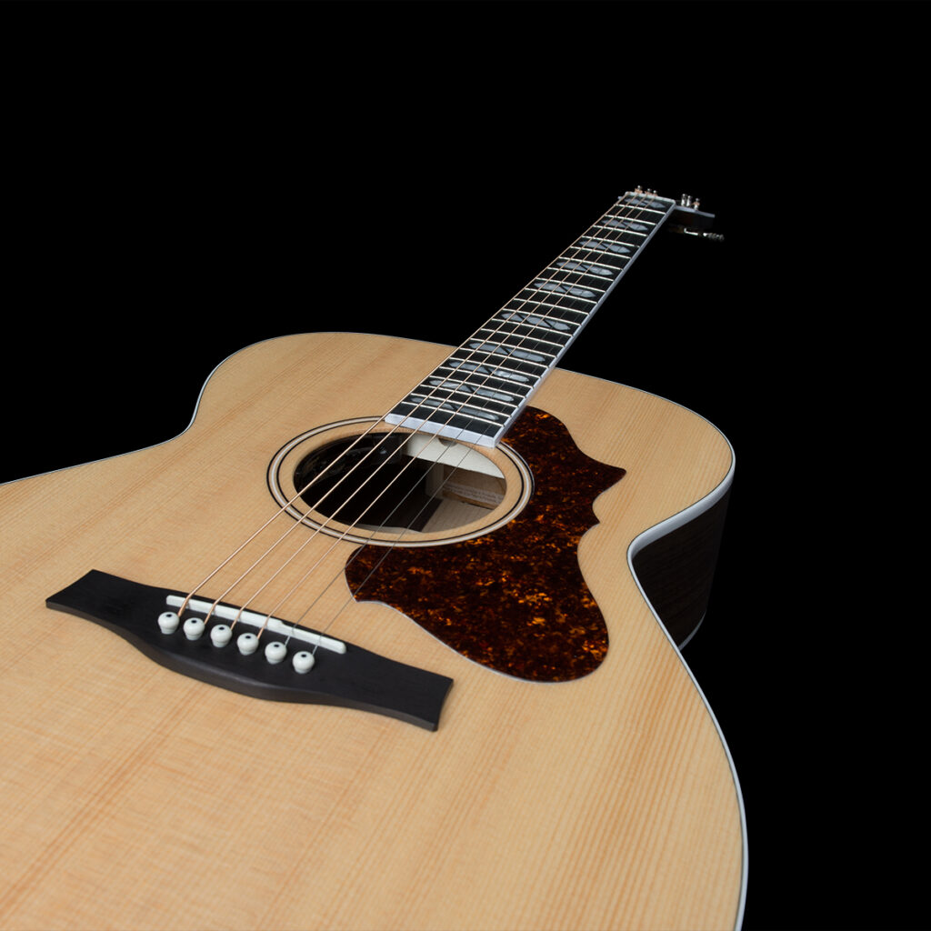 Guitares Godin - Guitare acoustique/électrique Fairmount CH LTD palissandre HG EQ avec étui rigide
