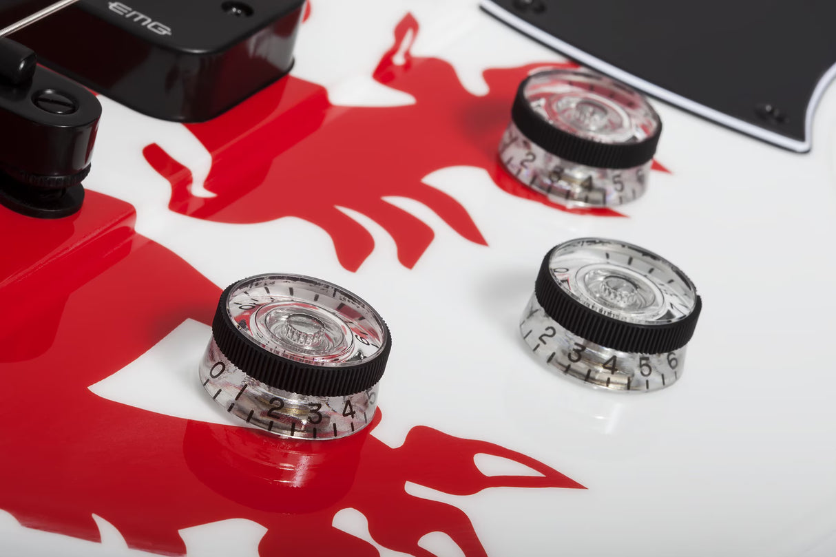 Basse Schecter Simon Gallup Ultra Spitfire 2254