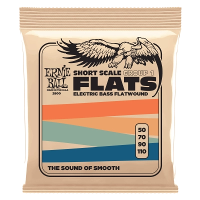 Cordes pour basse électrique Ernie Ball Flatwound Groupe 1 à diapason court - 50-110
