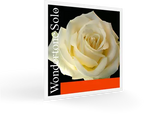 Pirastro - Wondertone Violin E String Loop End