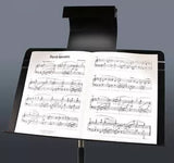 Manhasset - Lampe de pupitre LED pour orchestre
