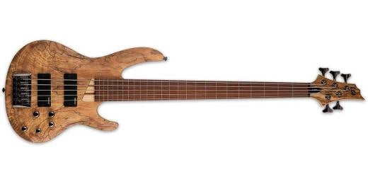 ESP Guitars - Basse fretless 5 cordes LTD B-205SM - Satin naturel