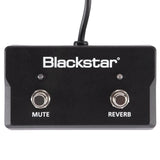 Blackstar Amplification - Sonnet FS-17 2-Button Footswitch