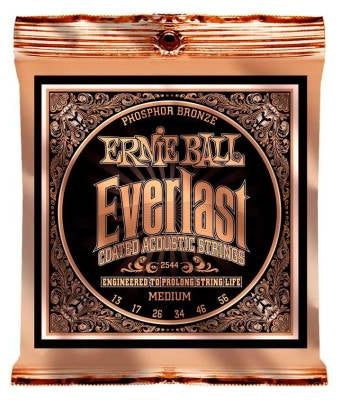 Cordes de guitare Ernie Ball Everlast avec revêtement phosphoreux - Medium