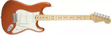 Fender - American Elite Stratocaster, touche en érable, finition Autumn Blaze Metallic