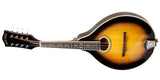 Gold Tone - GM-50+ A-Style Mandolin with Pickup - Left-Handed