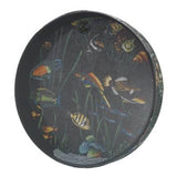 Remo - Ocean Drum - 6,35 x 40,66 cm, motif poisson