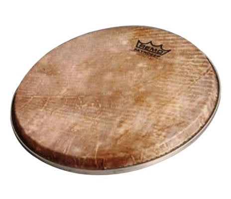 Remo - Tête de doumbek en peau de poisson Diplomat Skyndeep - 25 cm