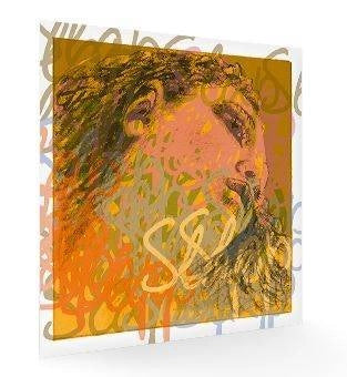 Pirastro - Evah Pirazzi Slap Basse 3/4 Sol Corde