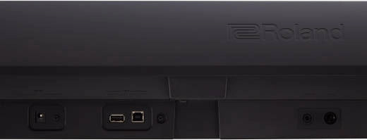Roland - FP-10 Portable Digital Piano w/Speakers - Black