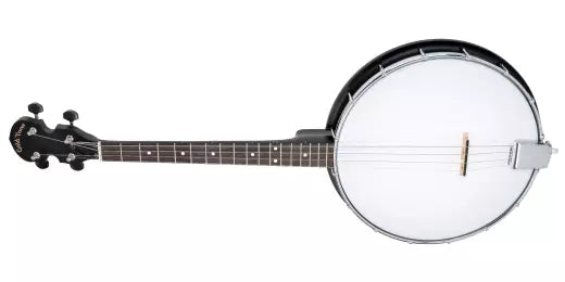 Banjo ténor irlandais ouvert 4 cordes AC-4IT Gold Tone avec housse (gaucher)