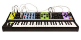 Moog - Matriarch 4 Note Paraphonic Analogue Synth