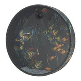 Remo - Ocean Drum - 6,35 x 30,5 cm, motif poisson