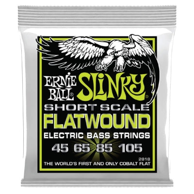 Jeu de cordes pour basse Ernie Ball Regular Slinky Flatwound - Diapason court 45-105