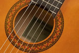 Yamaha - C40 - Classical Guitar