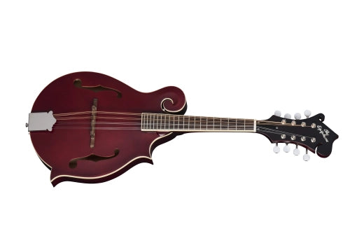 Epiphone - Mandoline de studio F-5 avec housse - Bordeaux satiné