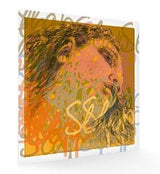 Pirastro - Evah Pirazzi Slap 3/4 Bass D String (Gut)