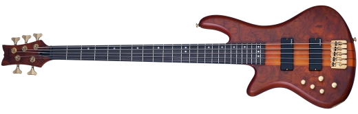 Schecter - Stiletto Studio Basse 5 cordes - Honey Satin - Gaucher