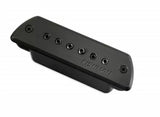 Fishman - Micro passif Blackstack pour rosace