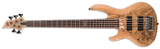 ESP Guitars - Basse électrique 5 cordes B-205 SM - Satin naturel (gaucher)
