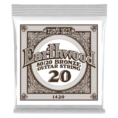 Corde de guitare simple Earthwood d'Ernie Ball - .020w
