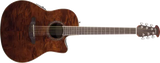 Ovation - Celebrity Standard Plus Mid Depth Acoustic/Electric - Nutmeg Burled Maple