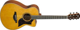 Yamaha - AC3M Concert Cutaway tout épicéa massif/acajou - Vintage Natural